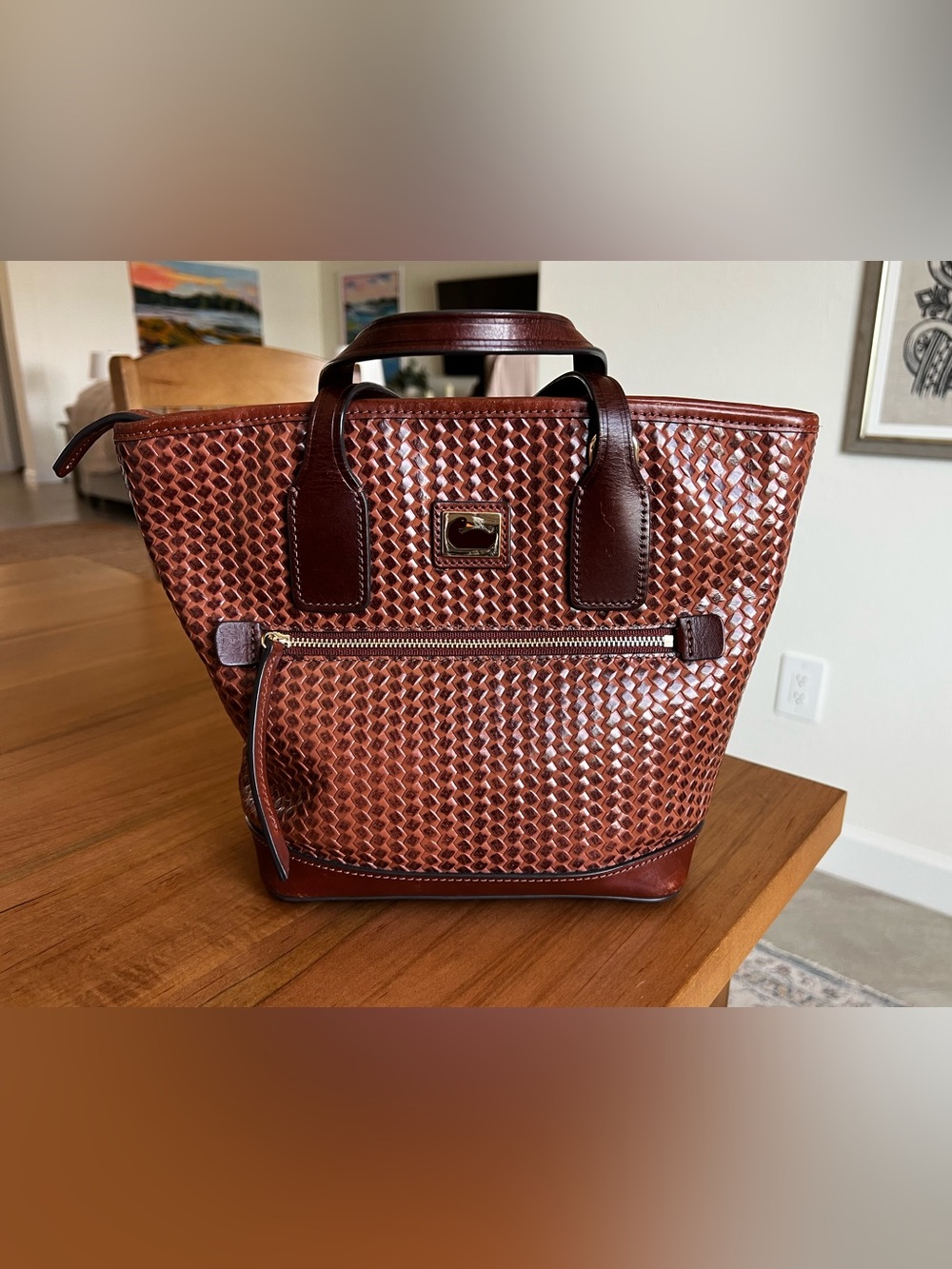 Dooney & Bourke Camden Woven Leather Small Tote